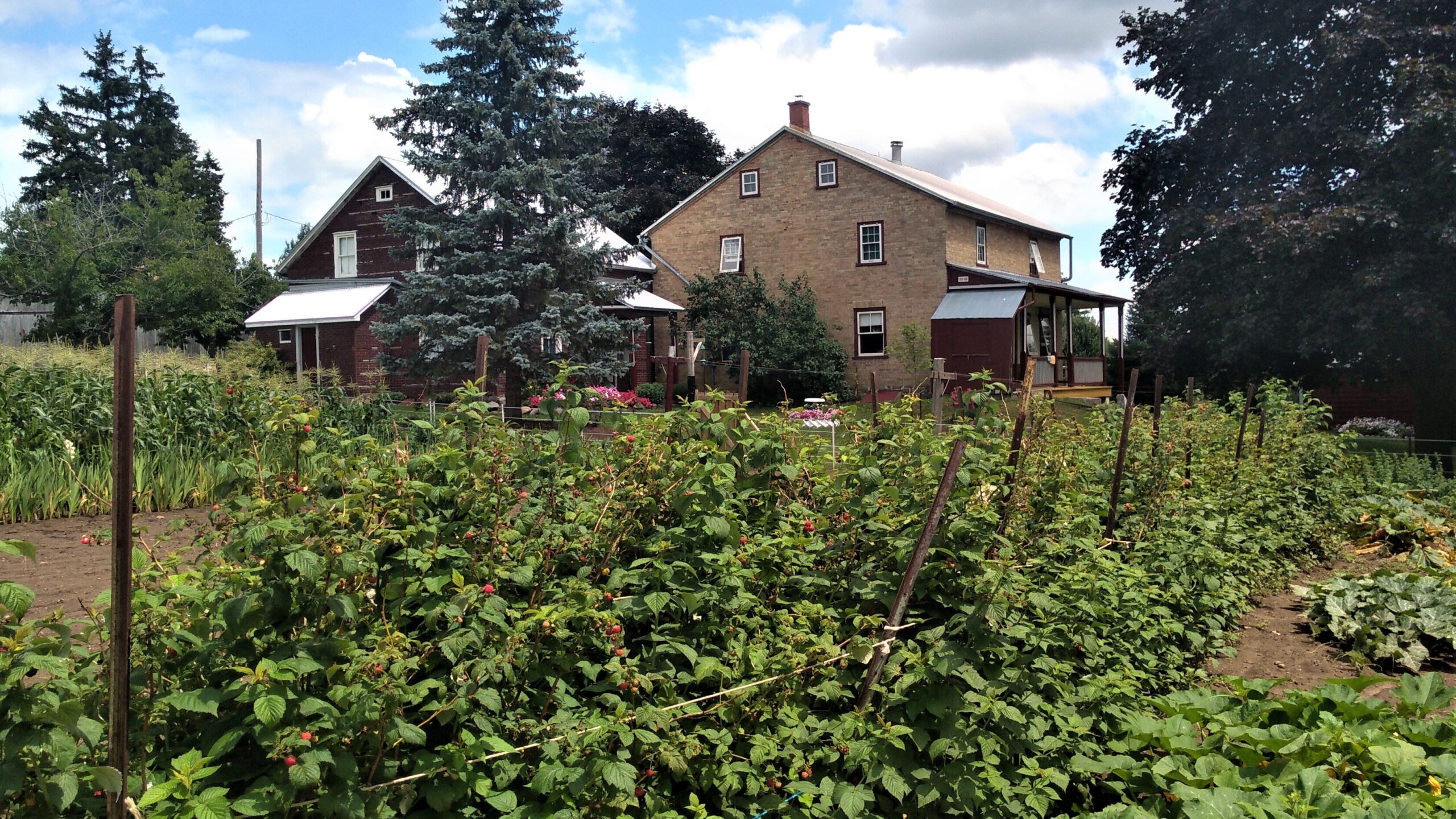 Elam Martin Farmstead